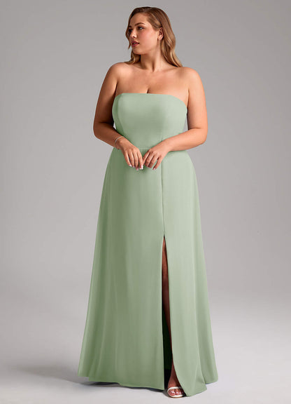 Wren-AZ10382289-Letzte Chance