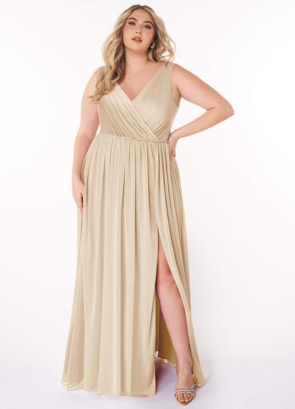 Tanicia-AZ6827396-Letzte Chance