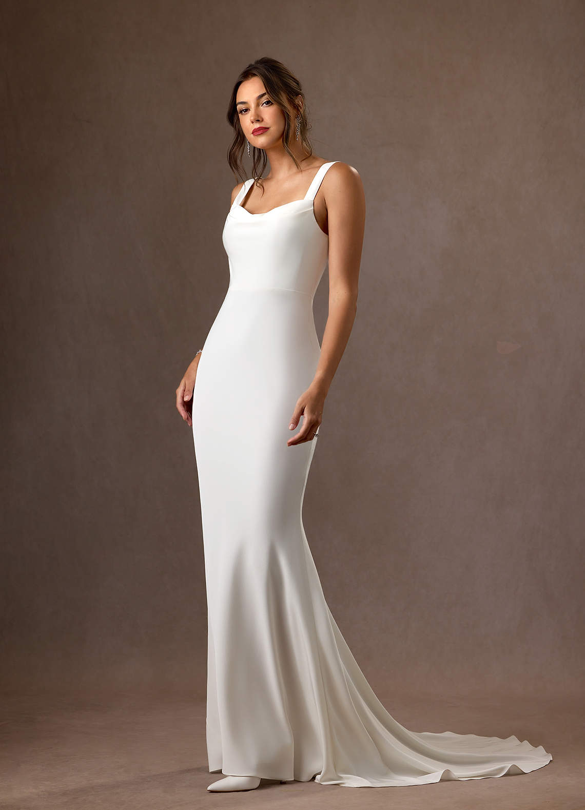 Lyssa-AZ17575155-Letzte Chance