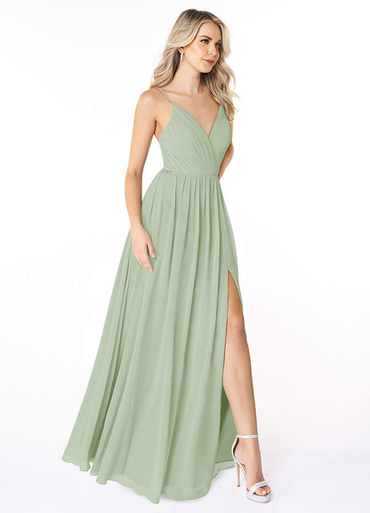 Gracie-AZ5855804-Letzte Chance