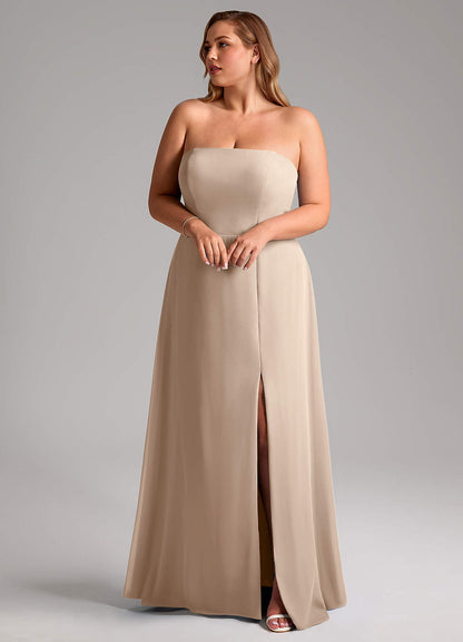 Wren-AZ62390901-Letzte Chance