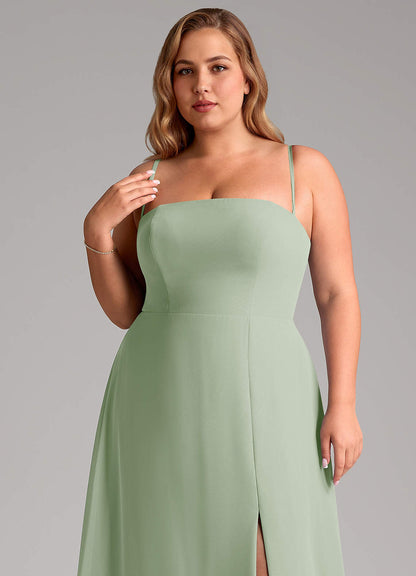 Wren-AZ19567894-Letzte Chance